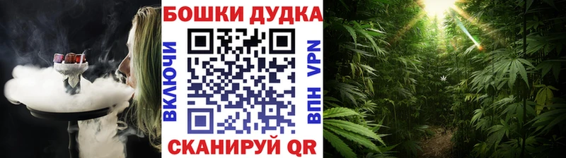 Купить наркоту Брянск Бошки Шишки  Псилоцибиновые грибы  МЕФ  Alpha-PVP 
