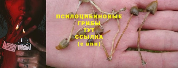 марихуана Гусиноозёрск
