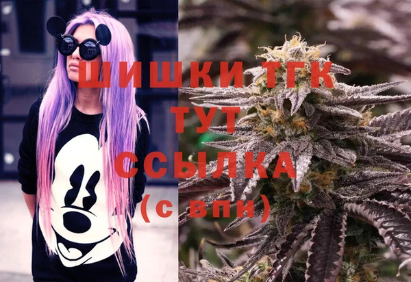 дживик Гусев