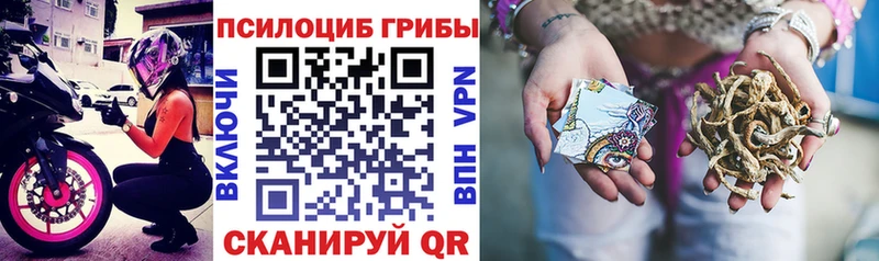KRAKEN ONION  купить наркотик  Брянск  Псилоцибиновые грибы прущие грибы 